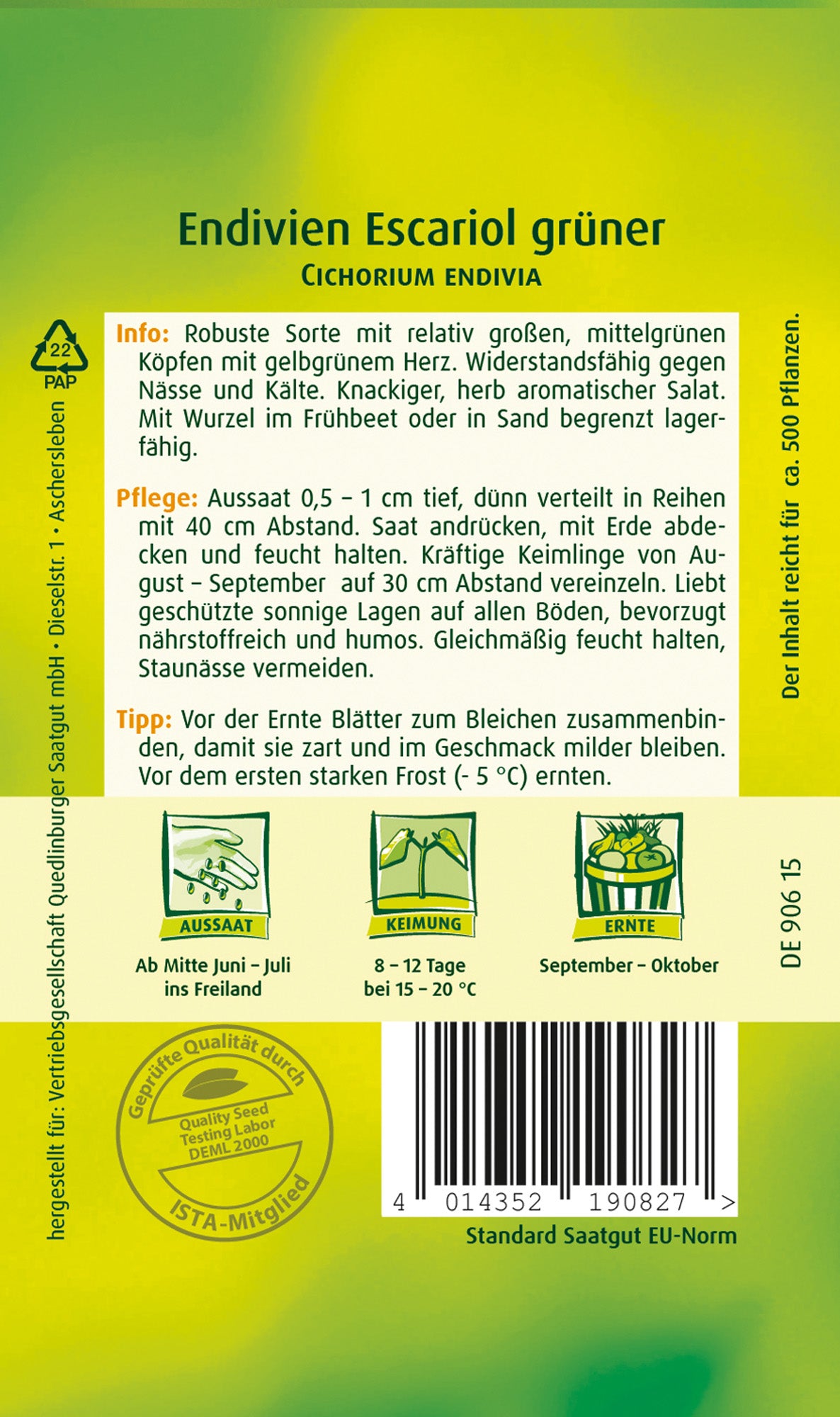 Endivien Escariol Grüner