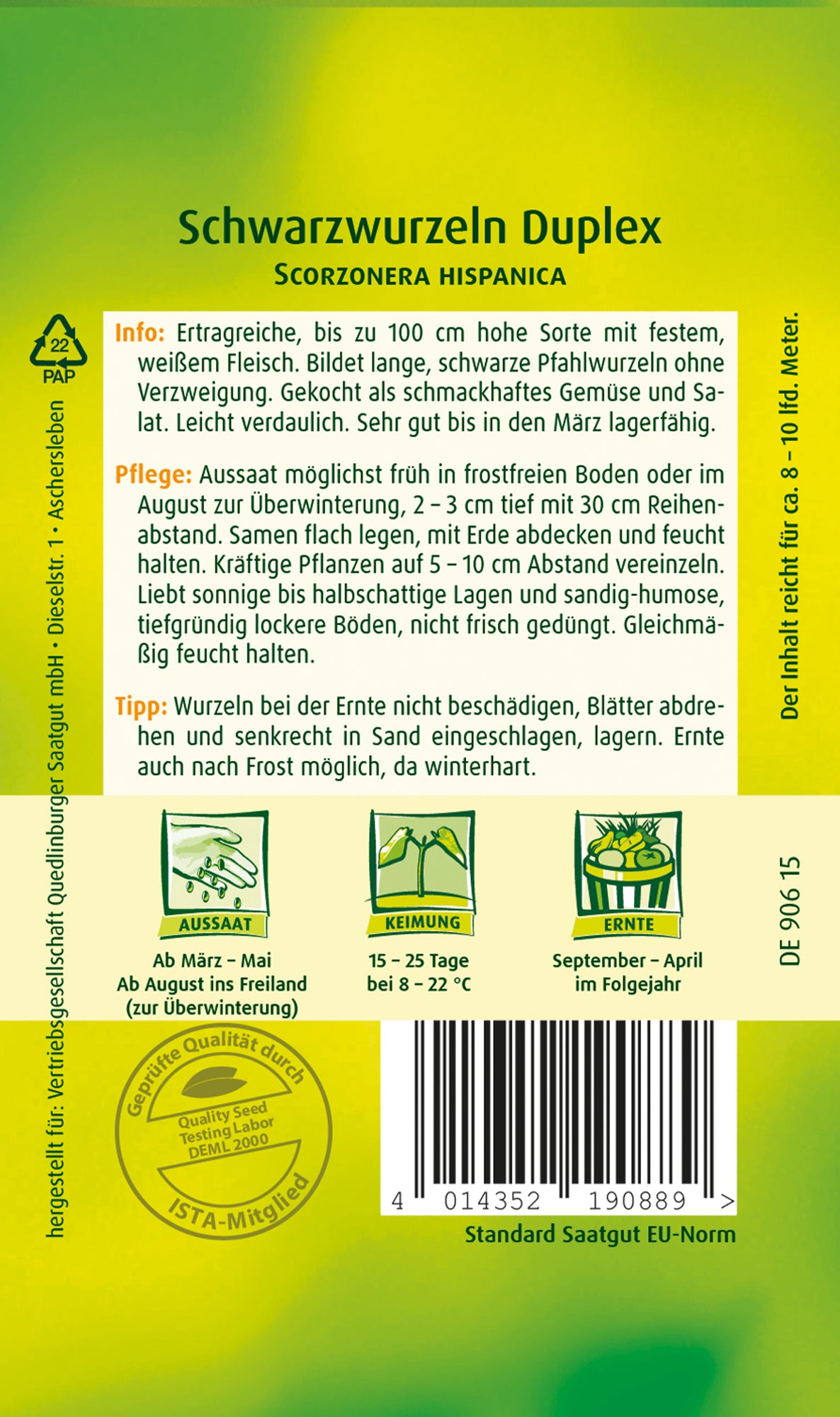 Schwarzwurzel Duplex