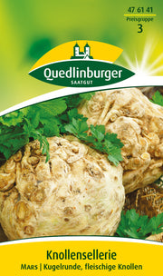 Knollensellerie Mars