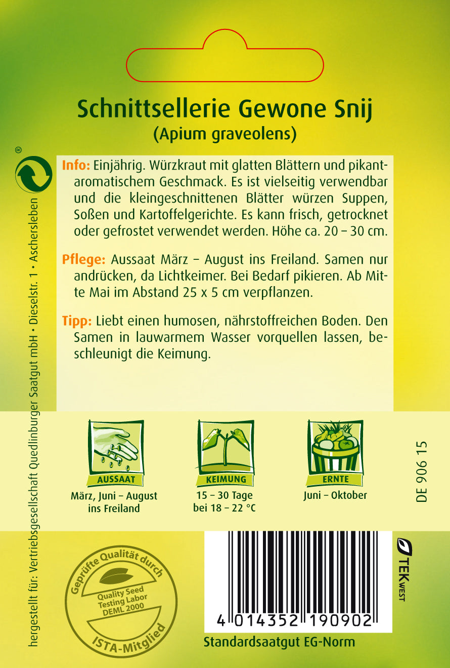 Schnitt-Sellerie Gewone Snij