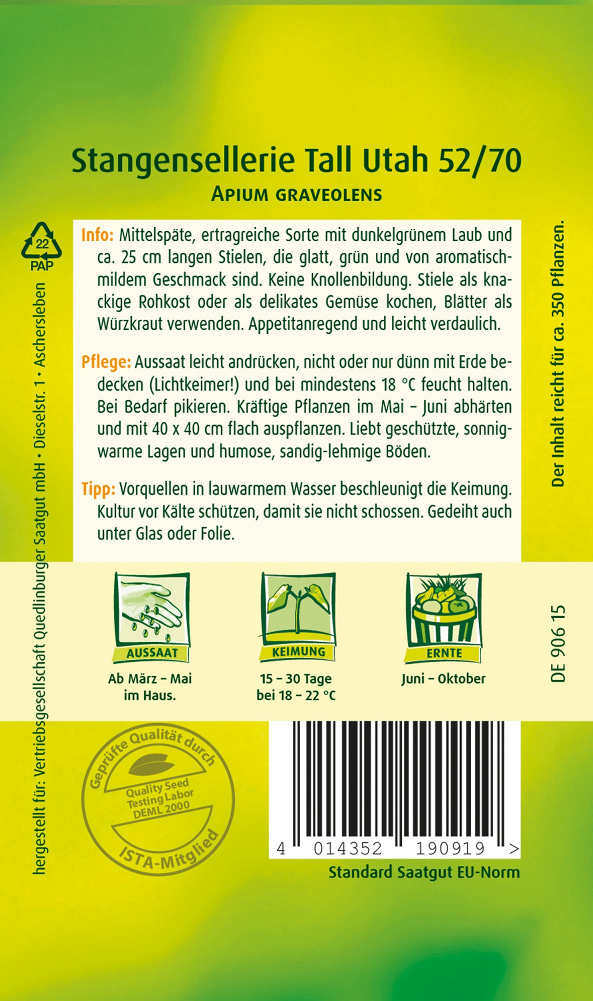 Stangensellerie Tall Utah 52