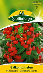 Balkontomaten Balkonzauber