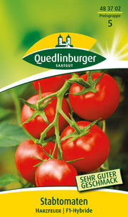 Stabtomaten Harzfeuer