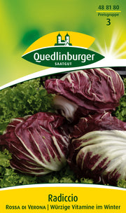 Radicchio Rossa di Verona