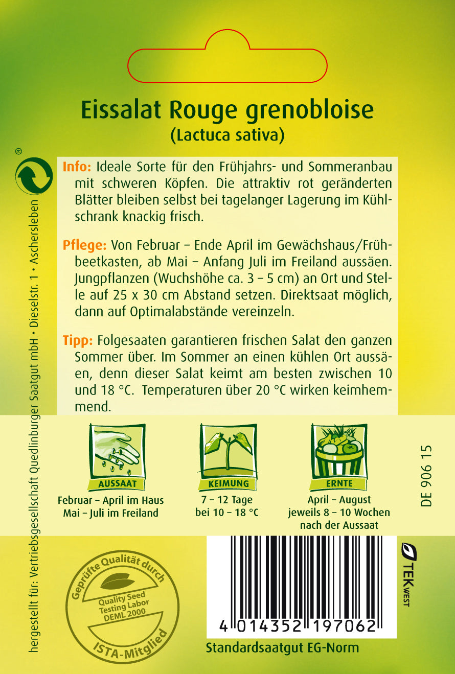 Eissalat Rouge grenobloise