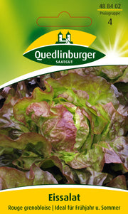 Eissalat Rouge grenobloise