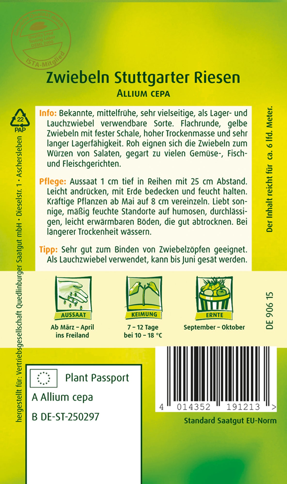 Zwiebeln Stuttgarter Riesen