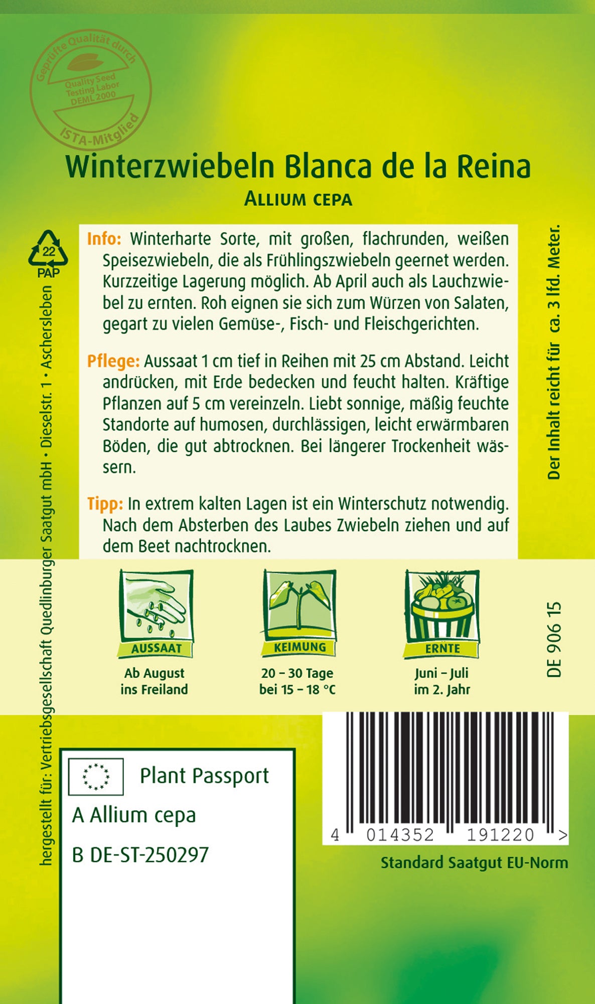 Winter-Zwiebeln Blanca de la