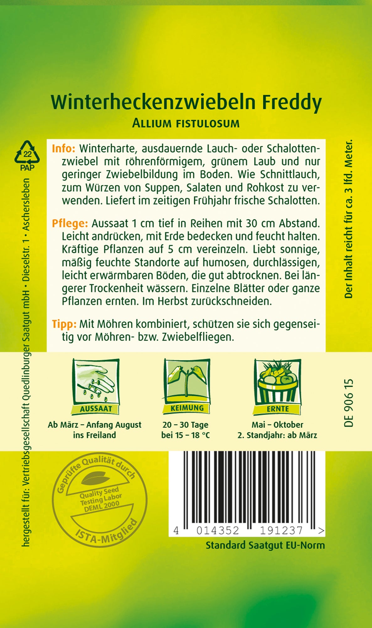 Winterhecken-Zwiebeln Freddy