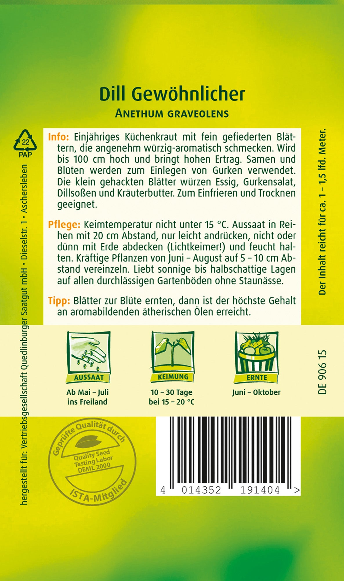 Dill Gewöhnlicher