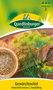 Fenchel Grossfrüchtiger