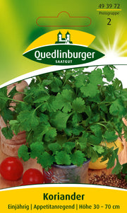 Koriander Thüringer