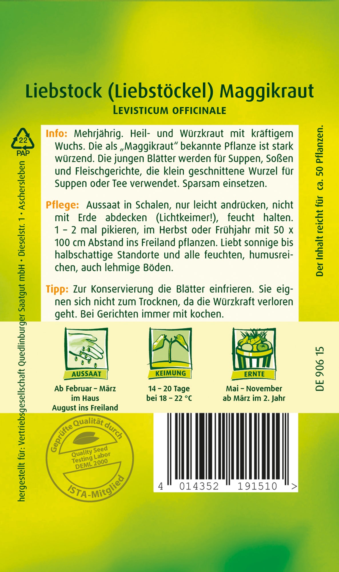 Liebstock Maggikraut