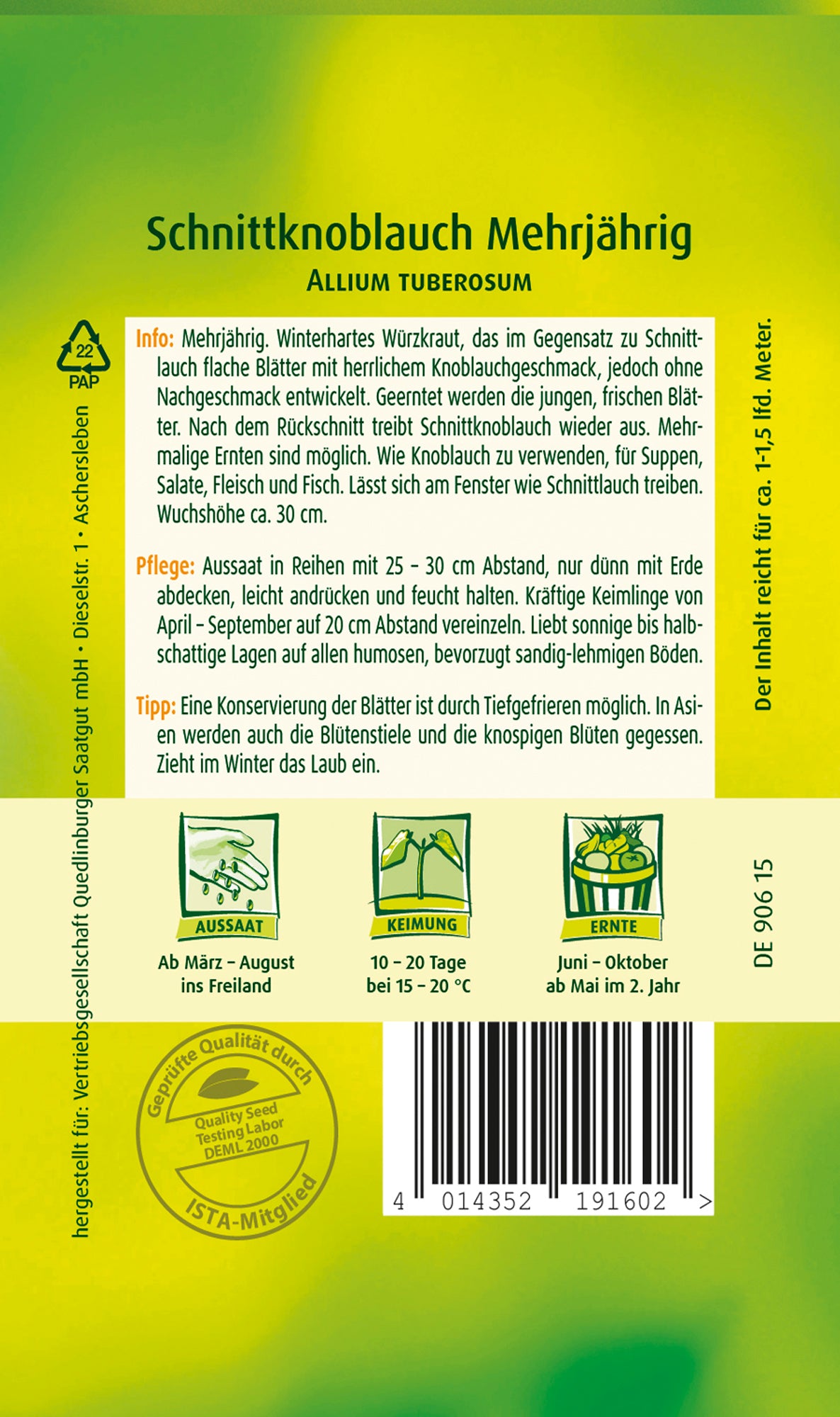 Schnittknoblauch Mehrjährig