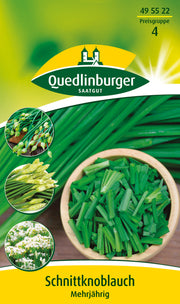 Schnittknoblauch Mehrjährig