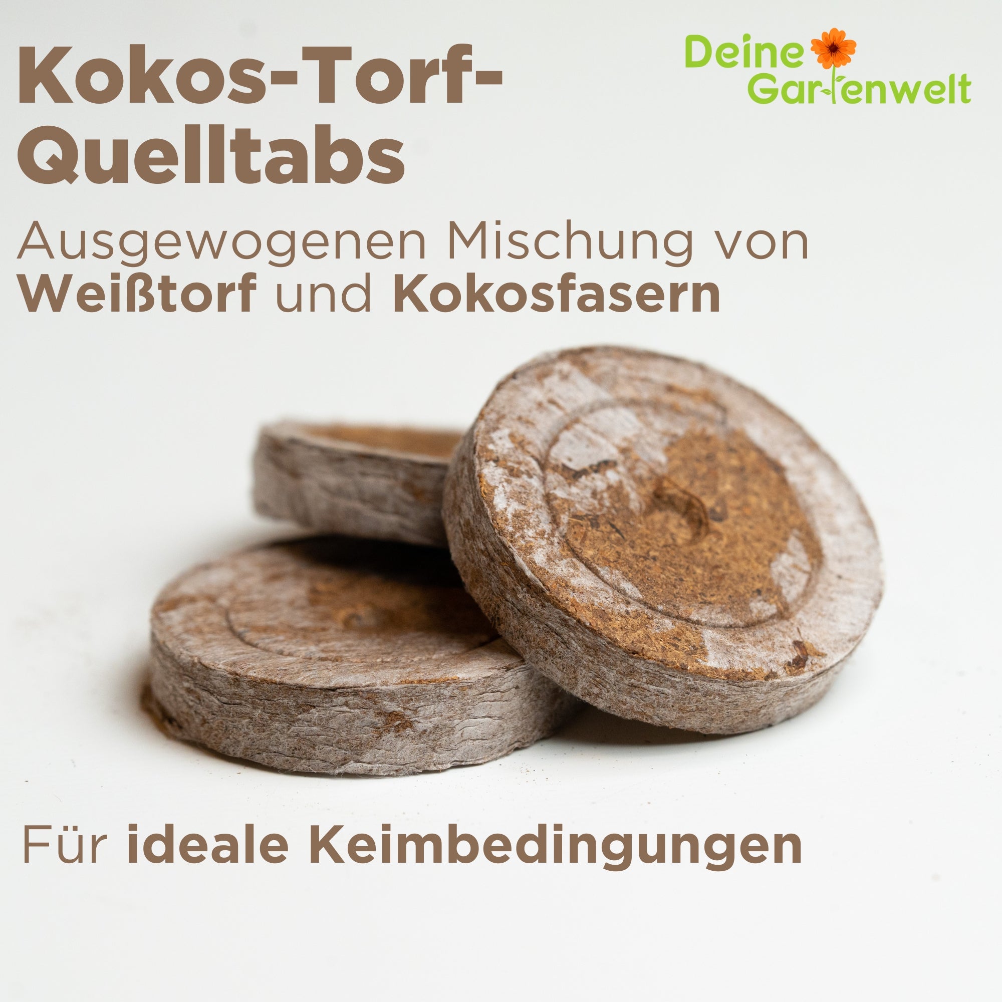 Quelltabletten 52 Stück