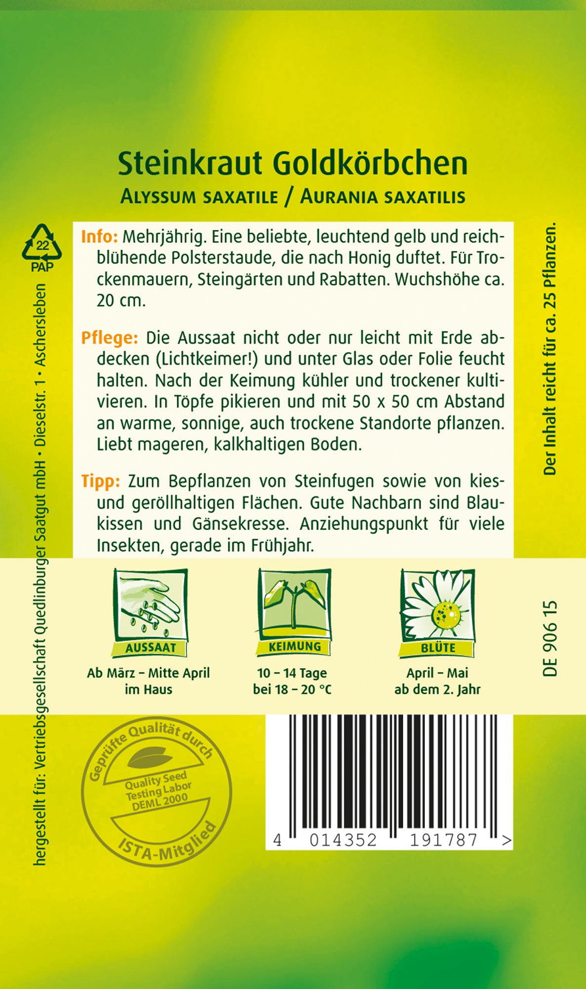 Steinkraut Goldkörbchen