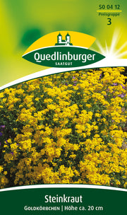 Steinkraut Goldkörbchen