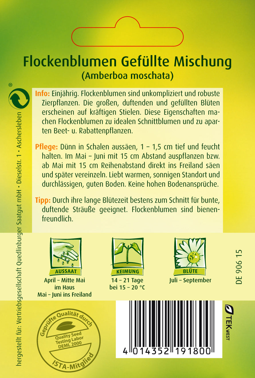 Flockenblume Gefüllte Mischung