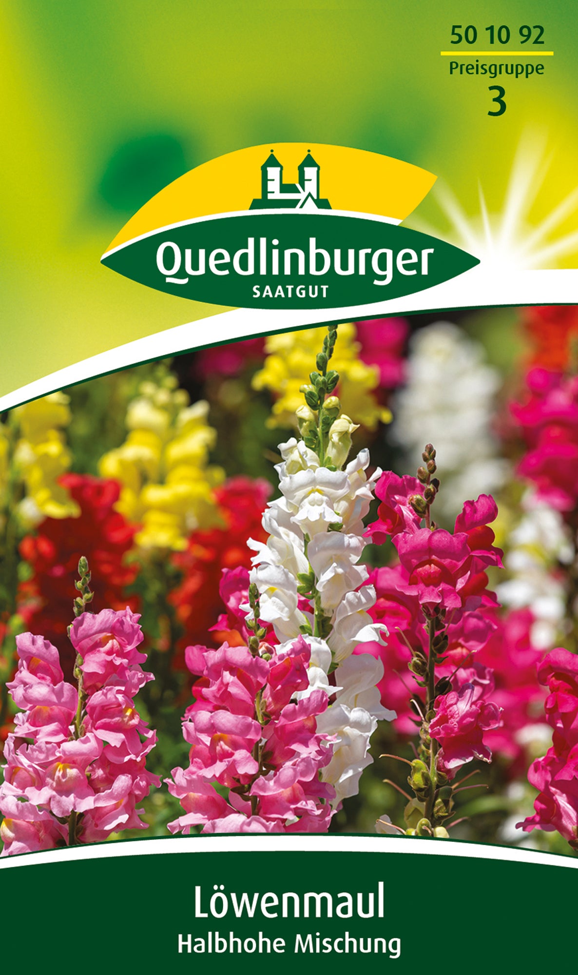 Löwenmaul halbhohe Mischung