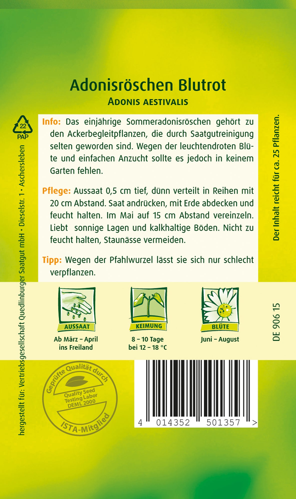 Adonisröschen Blutrot