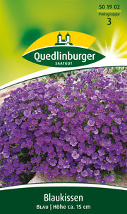 Blaukissen  Blau