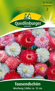 Tausendschön Mischung