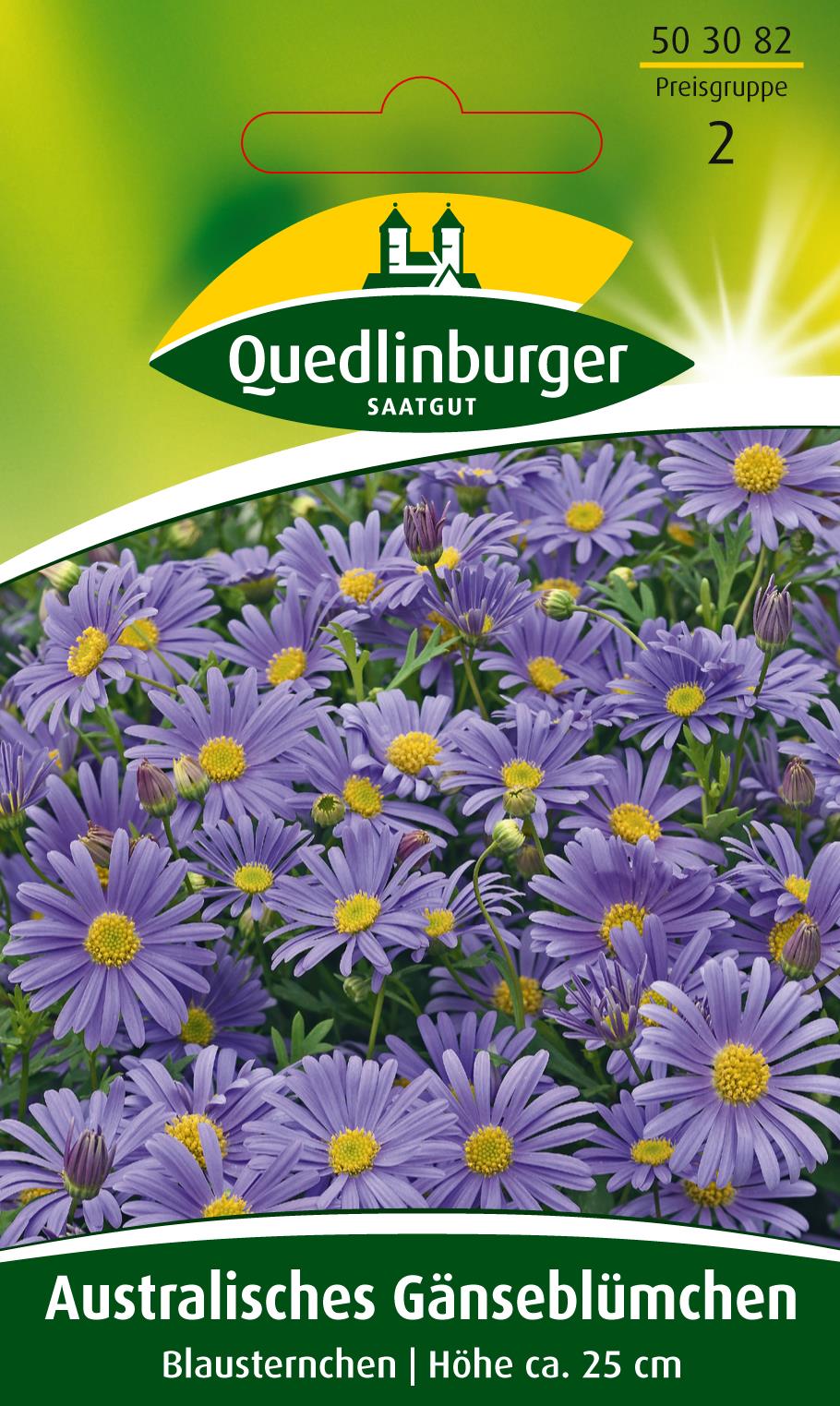 Australisches Gänseblümchen