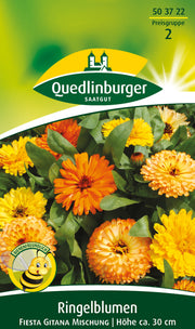 Ringelblumen Fiesta Gitana