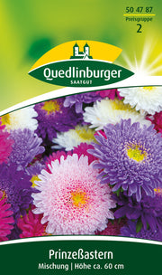 Prinzeß-Astern Mischung