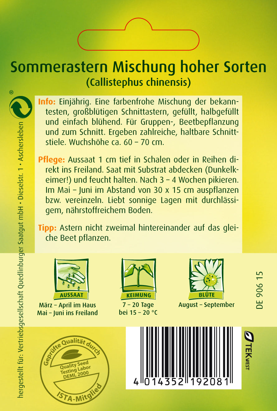 Sommer-Astern Mischung hoher Sorten