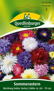 Sommer-Astern Mischung hoher Sorten