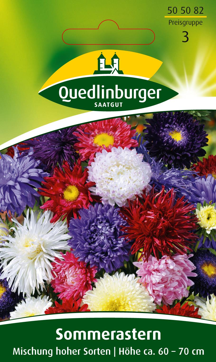 Sommer-Astern Mischung hoher Sorten