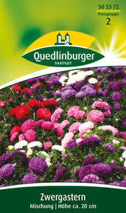 Zwerg-Astern Mischung