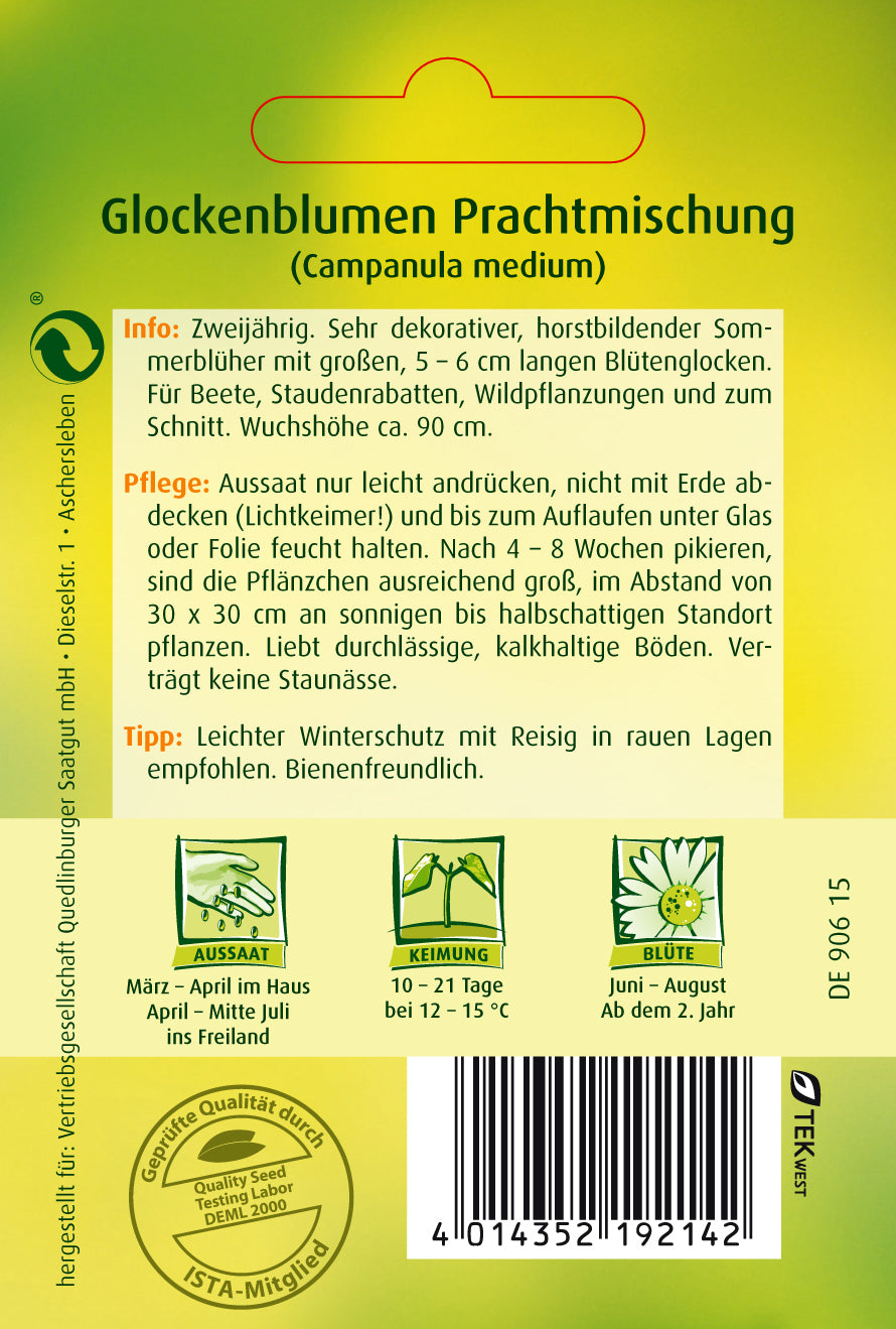 Glockenblume Prachtmischung