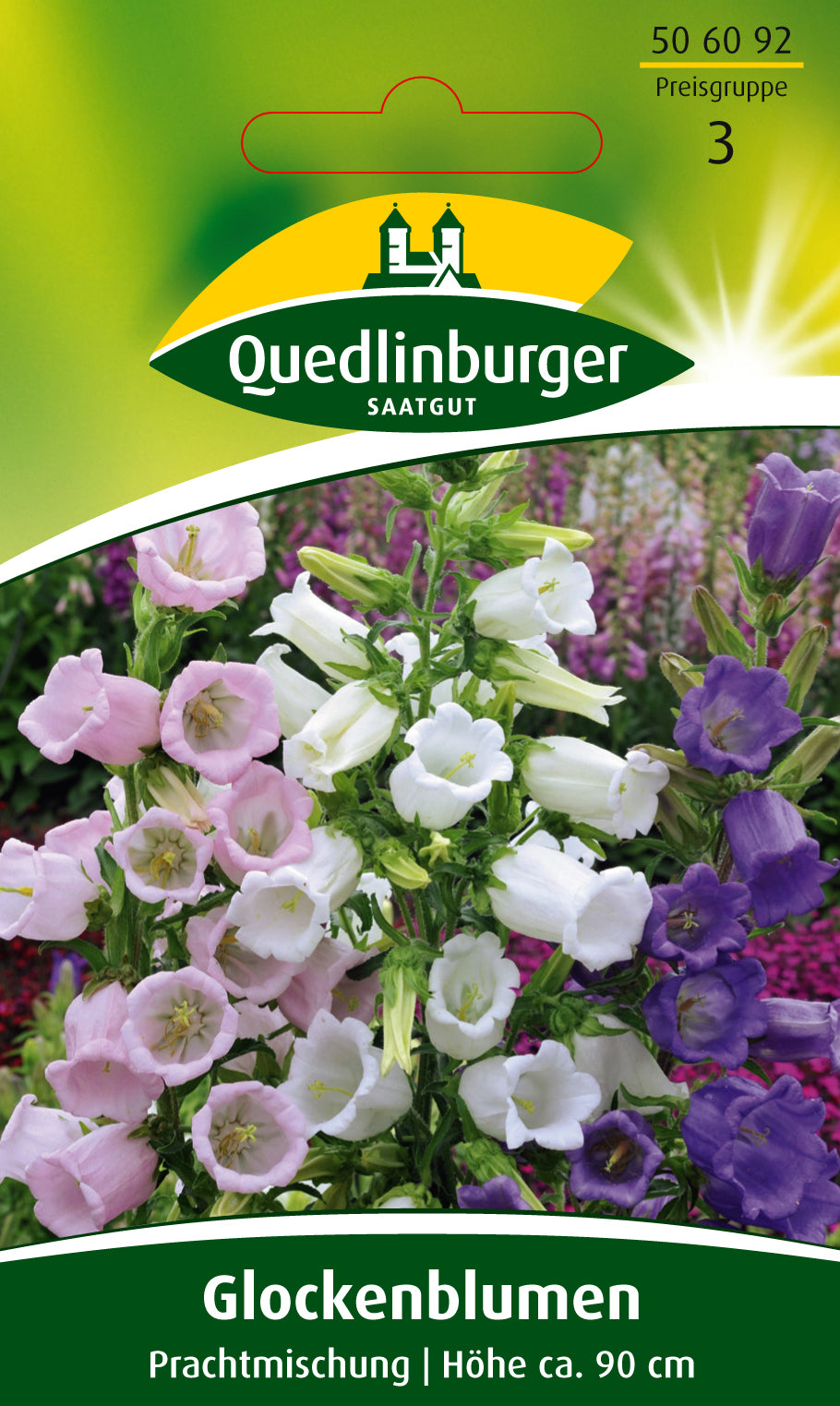 Glockenblume Prachtmischung