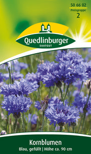 Kornblume Blau gefüllt