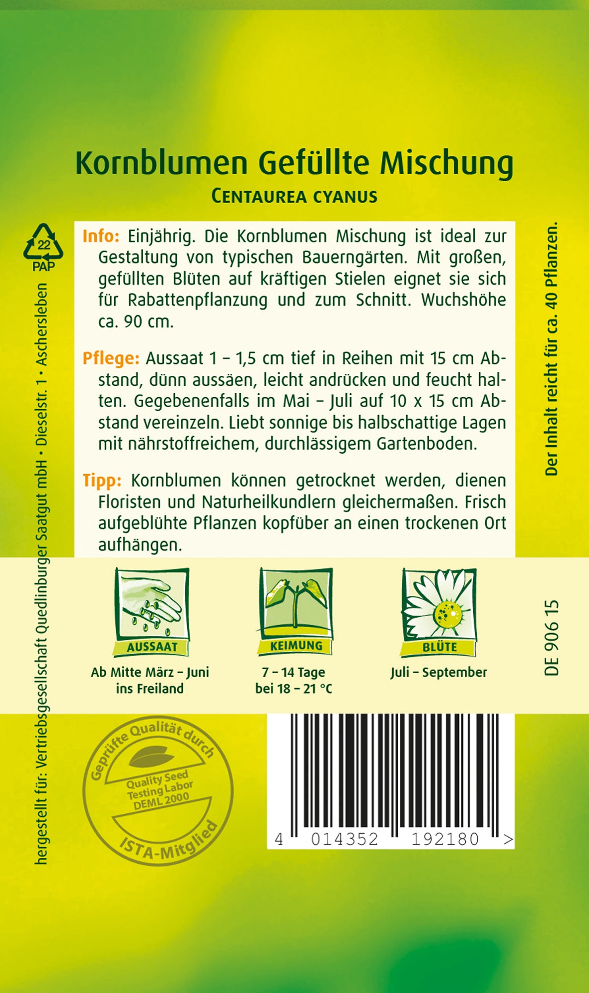 Kornblume Gefüllte Mischung