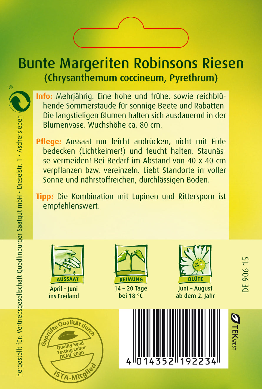 Margeriten Bunte Robinsons Riesen