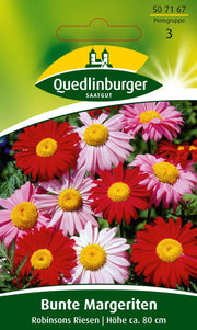 Margeriten Bunte Robinsons Riesen