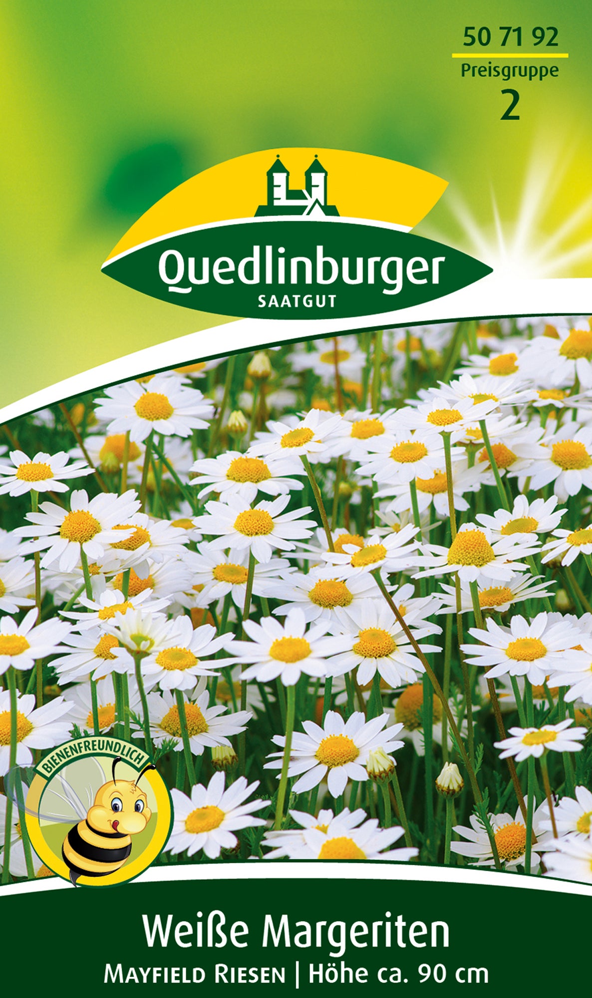 Margeriten Weiße Mayfield Riesen