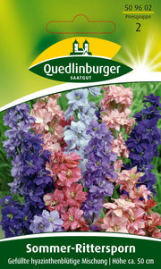 Sommer-Rittersporn hyazinthbl