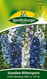 Stauden-Rittersporn Pacific