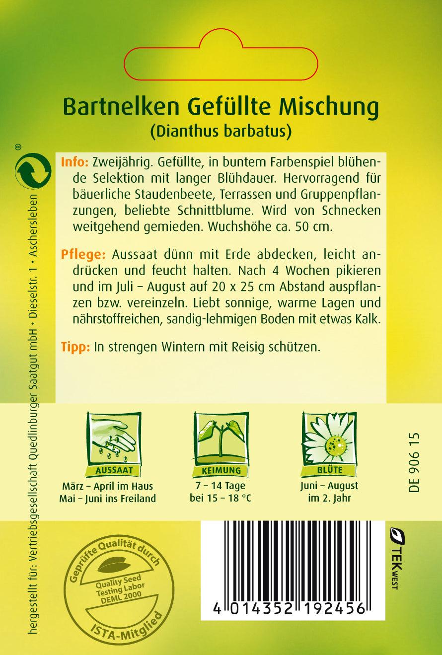 Bart-Nelken Gefüllte Mischung