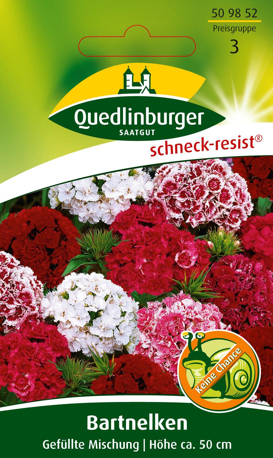 Bart-Nelken Gefüllte Mischung