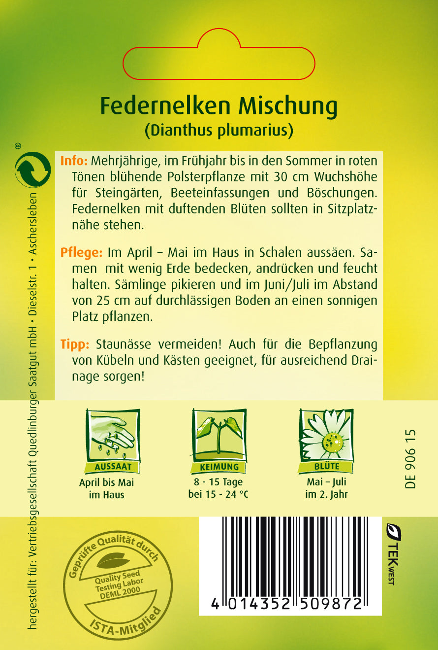 Feder-Nelken Mischung