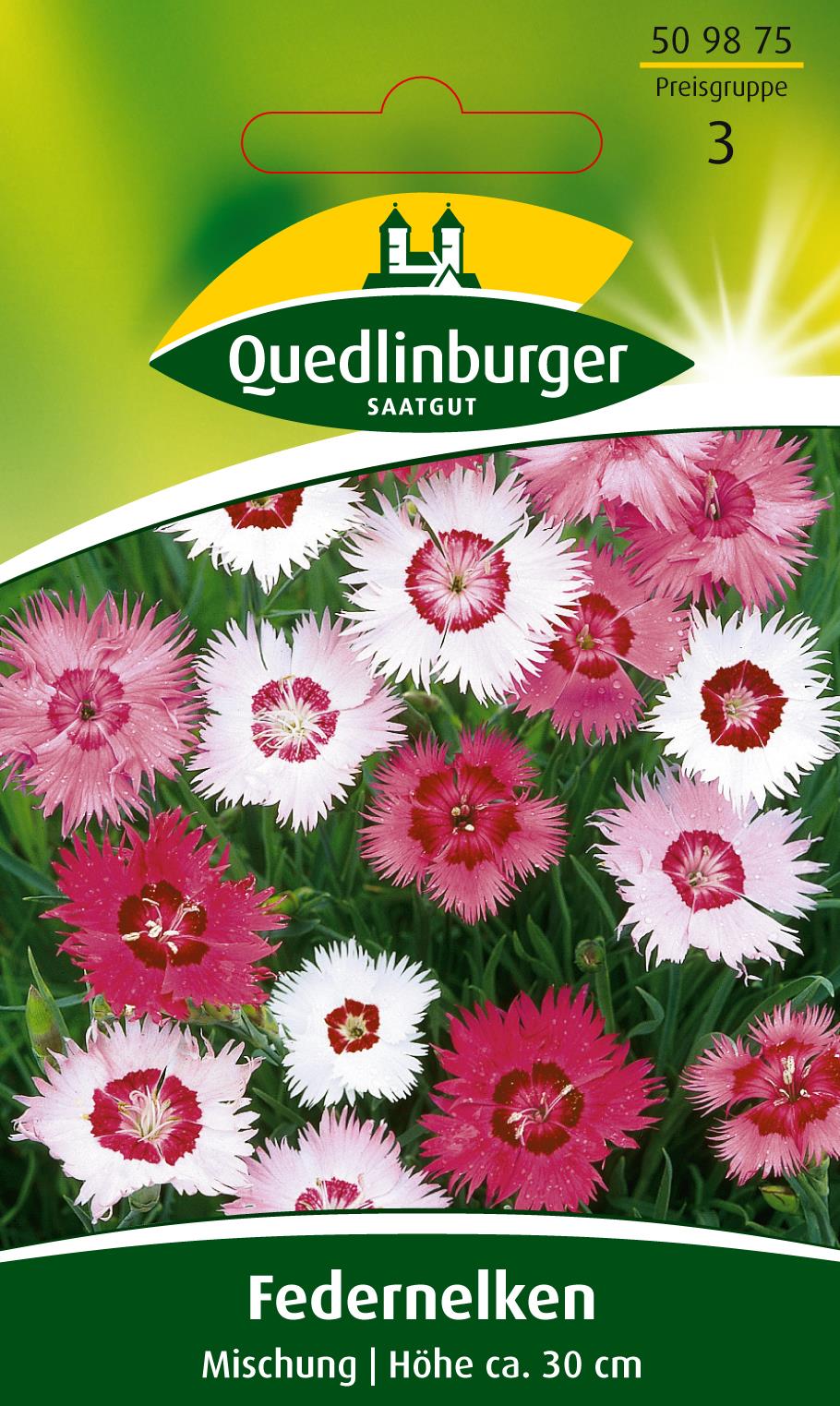 Feder-Nelken Mischung