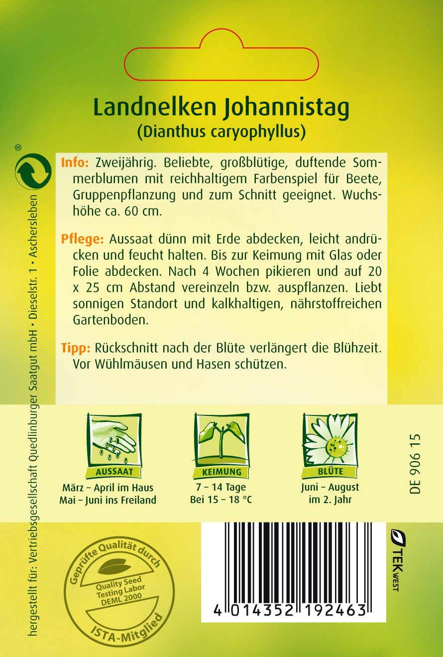 Land-Nelken Johannistag