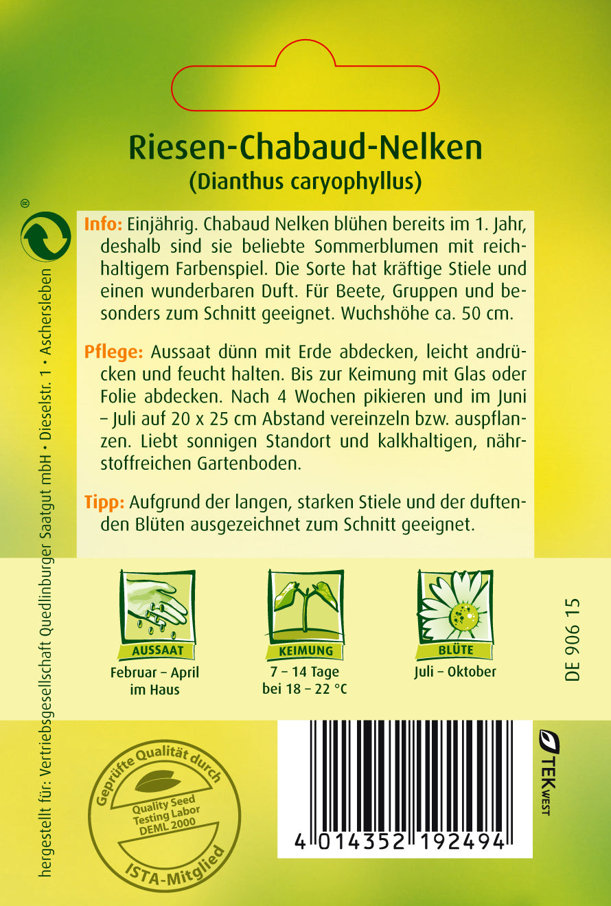 Chabaud-Nelken Großblumige Mischung