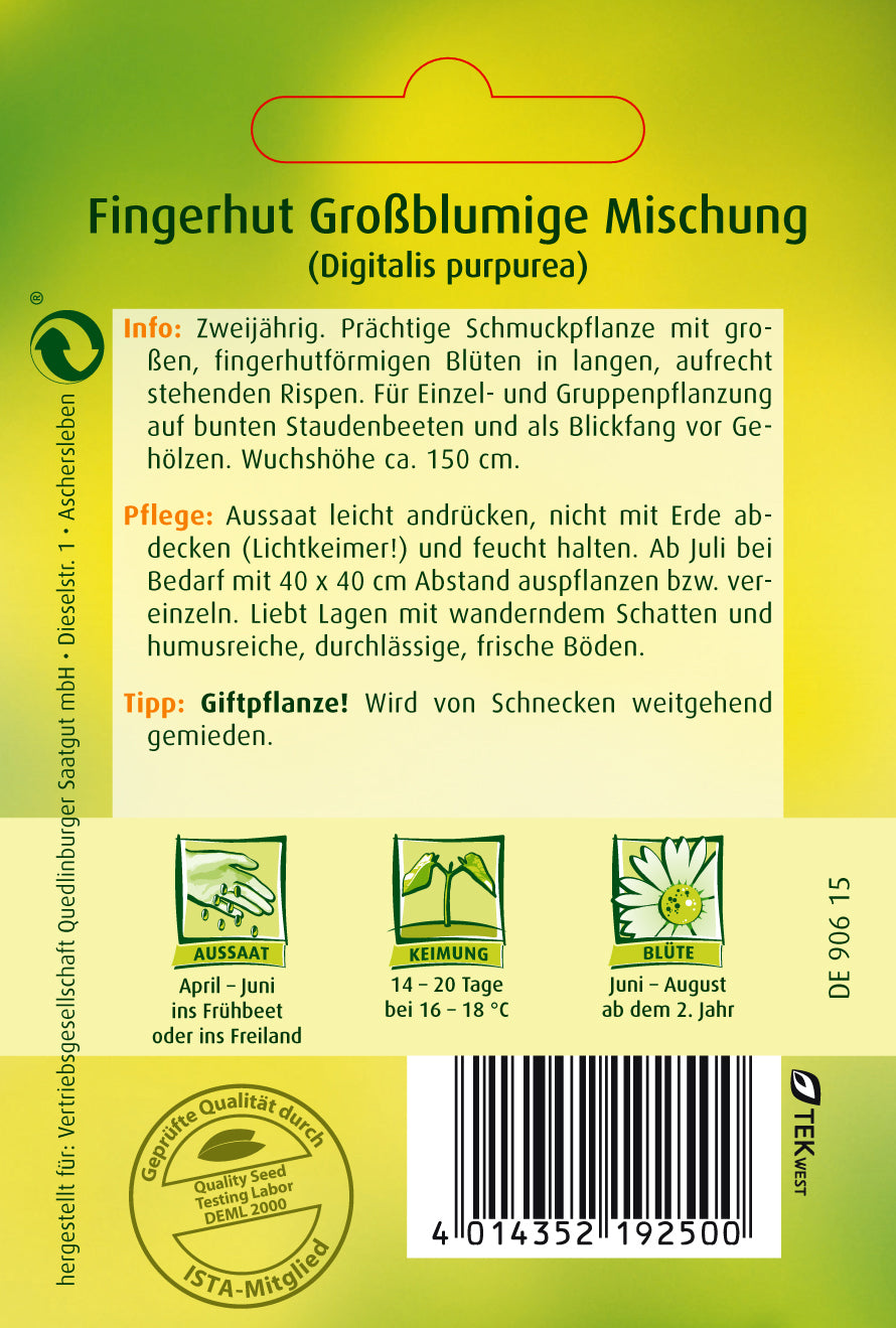 Fingerhut Großblumige Mischung